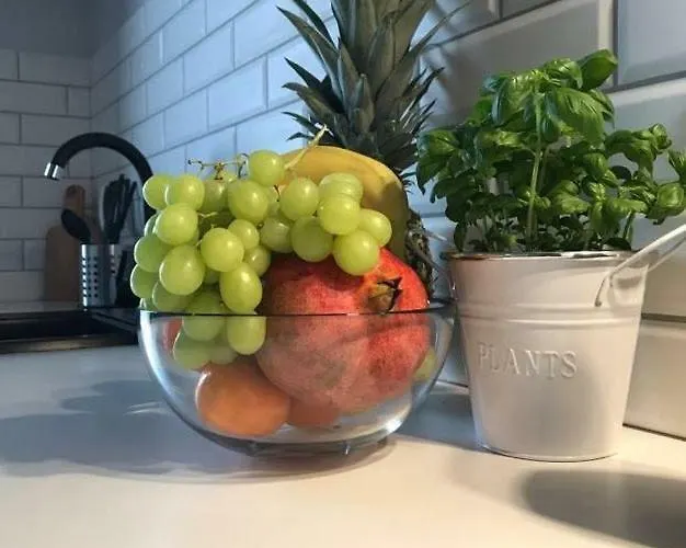 Premium - Chopin Airport *